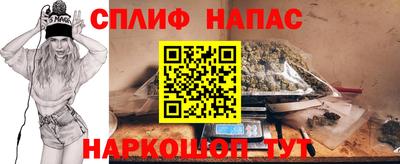 дживик Бийск