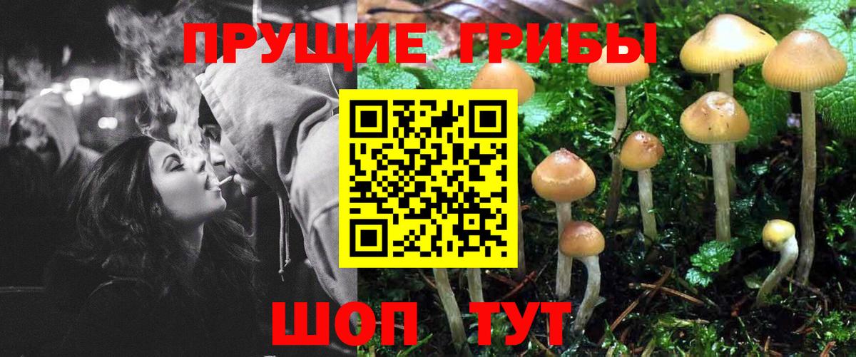 Галлюциногенные грибы ЛСД Йошкар-Ола