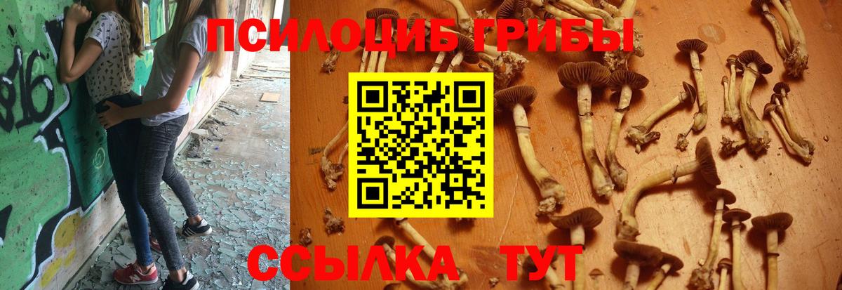 Галлюциногенные грибы Cubensis  Вход с VPN  Йошкар-Ола  Псилоцибиновые грибы Cubensis 